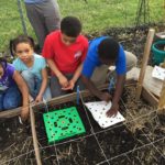 planting-the-squares